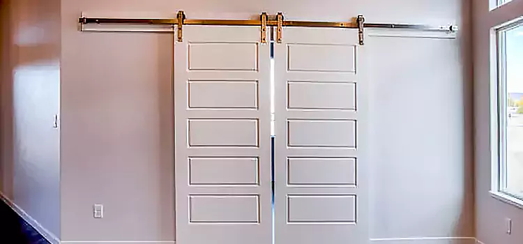 Glass Barn Door with Installation Hardware Kit Lynchburg