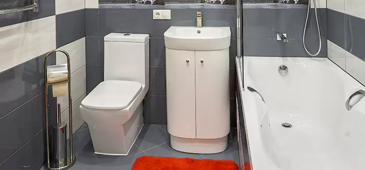 Hansgrohe Shaving Mirror Lynchburg